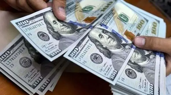 بازداشت مسافر پرواز خارجی با کیفی پر از دلار  + حکم عبرت آموز 