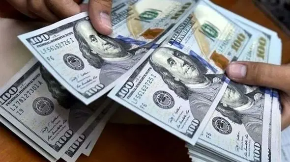 بازداشت مسافر پرواز خارجی با کیفی پر از دلار  + حکم عبرت آموز 