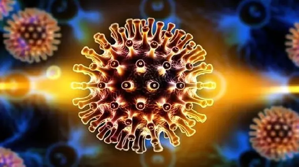 کرونای هندی چقدر جولان می دهد؟