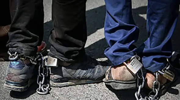 آقای «ف» سلطان زانتیا دستگیر شد