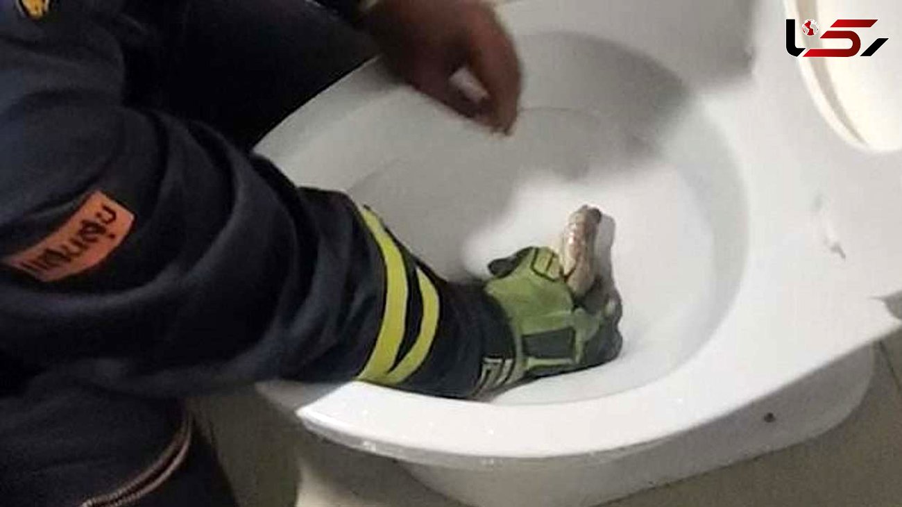 مرد جوان هنگامی که وارد توالت شد خشکش زد + فیلم