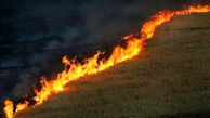 آتش سوزی در مراتع البرز