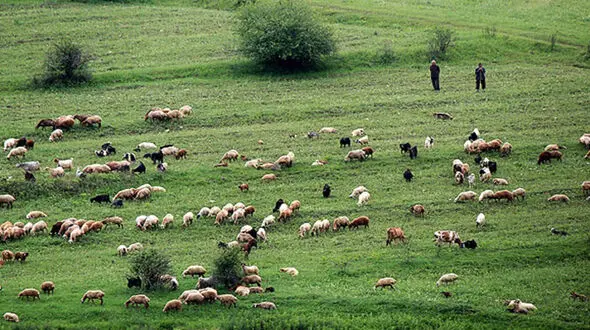 ناپدید شدن مرموز چوپان 50 ساله در گلستان  