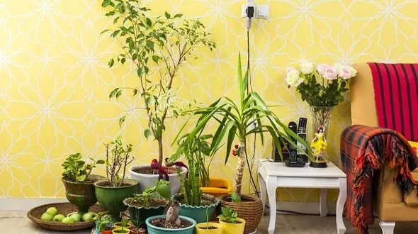 نقش گل و گیاه در تزئین دکوراسیون خانه ای شیک!