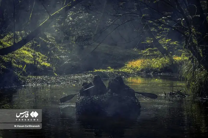 تمرین و آموزش های تخصصی رزم در جنگل توسط بسیجیان یگان ویژه فاتحین تهران بزرگ در جنگل‌های شمال کشور