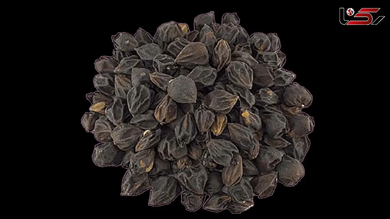 خواص سپستان / از دمنوش گرفته تا پوست و برگ و دانه گیاه سپستان 