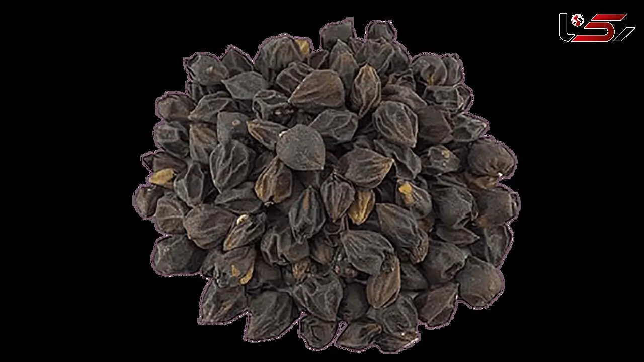 خواص سپستان / از دمنوش گرفته تا پوست و برگ و دانه گیاه سپستان 