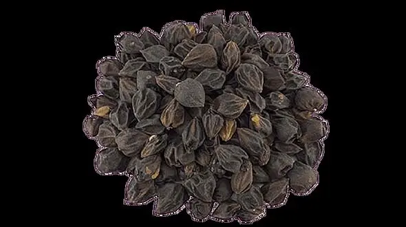 خواص سپستان / از دمنوش گرفته تا پوست و برگ و دانه گیاه سپستان 