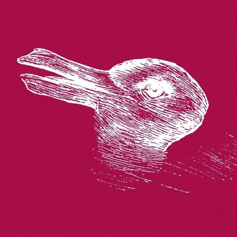 اردک