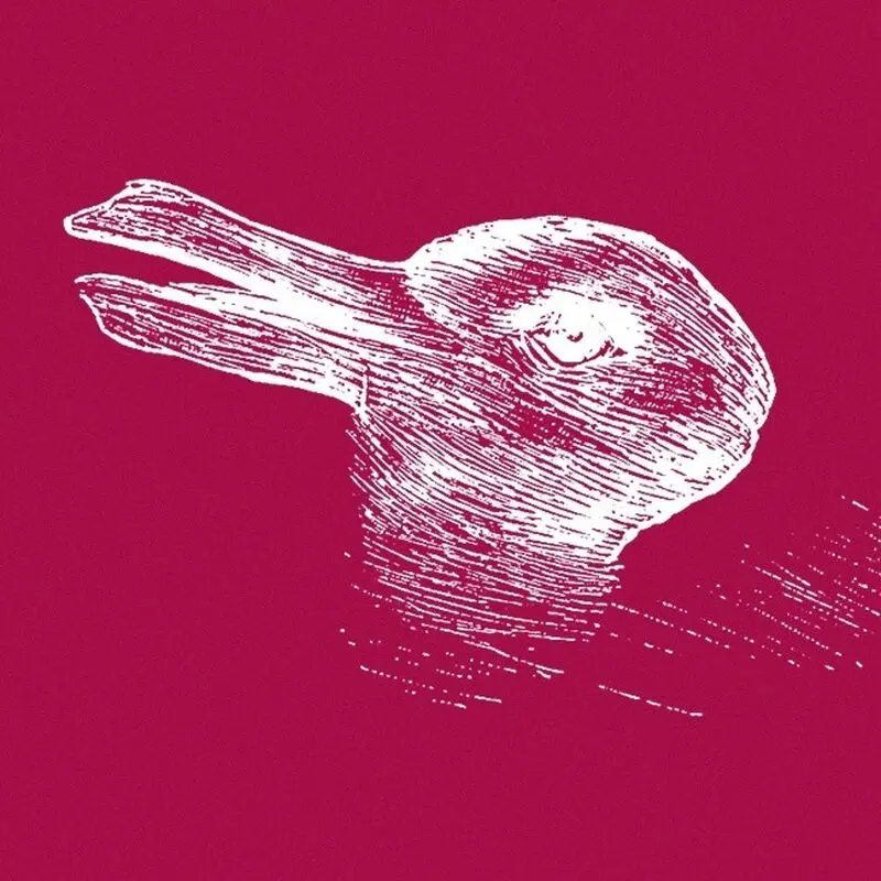 اردک