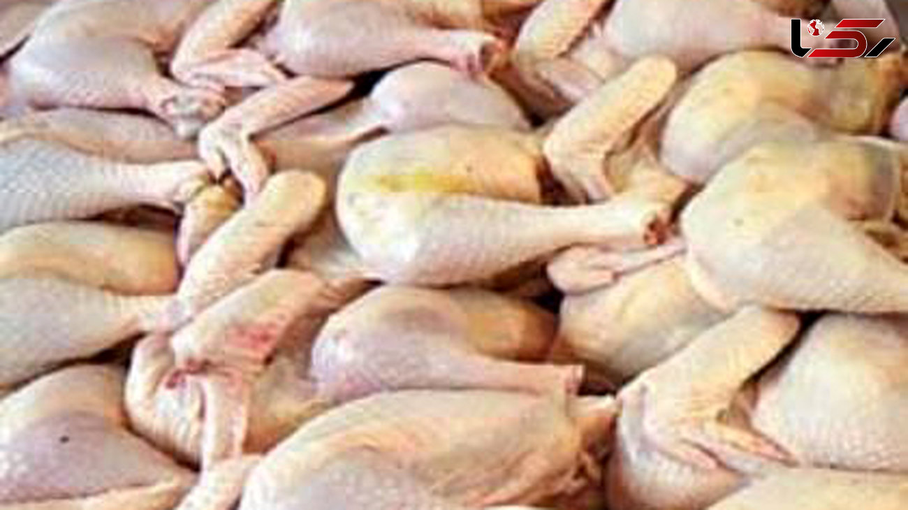 تولید گوشت مرغ در گالیکش با 400 تن افزایش به 2100 رسید