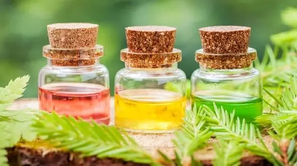 خستگی روزانه را با روغن های گیاهی ضربه فنی کنید