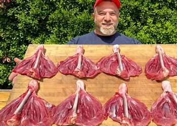 طرز تهیه غذای سنتی آذربایجان با ران بوقلمون و سیب‌ زمینی + فیلم
