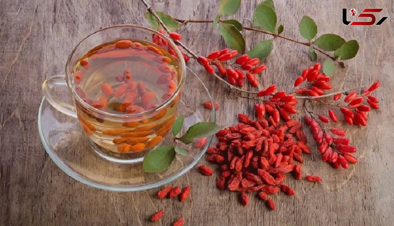با یک فنجان دمنوش زرشک به جنگ بیماری ها بروید+دستور تهیه در خانه