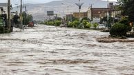 ثبت 4300 میلیارد تومان خسارت سیلاب و بارش های اخیر به فارس/ خسارت جدی سیلاب به قنوات استان