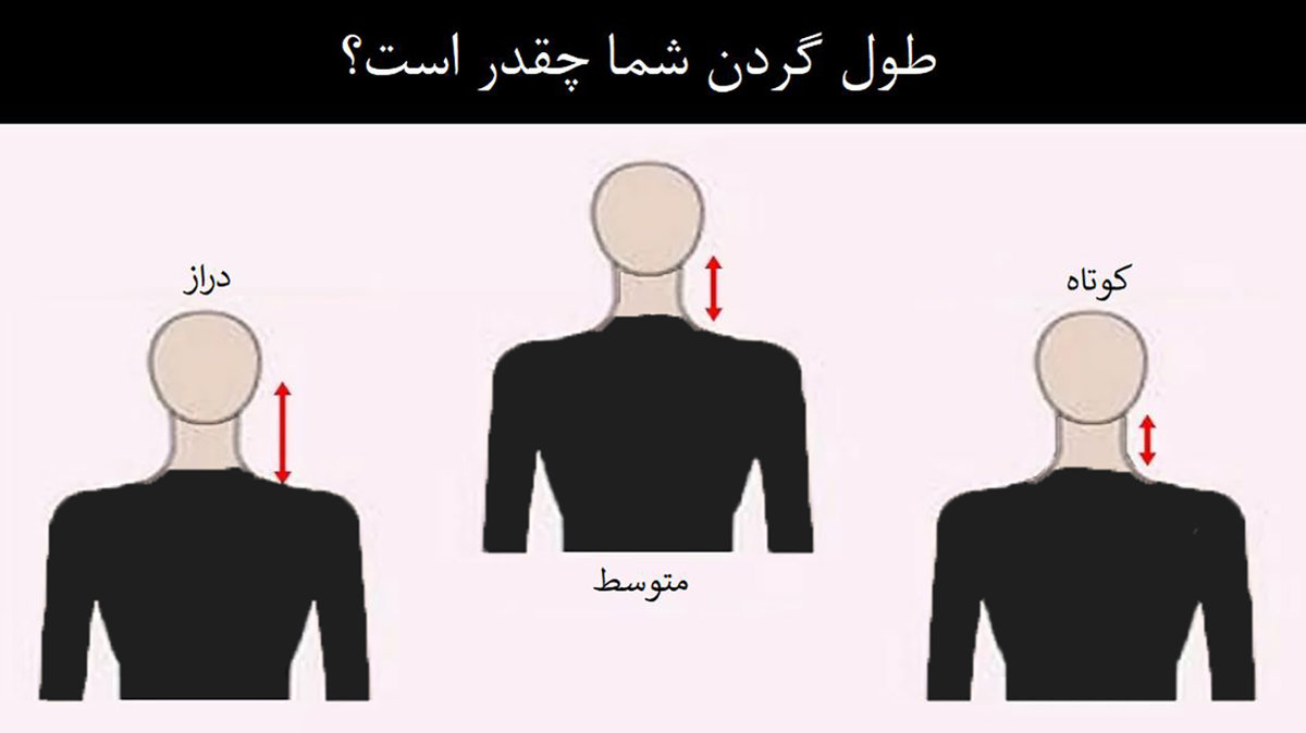 شخصیت شناسی / طول گردنتان ویژگی های شخصیت تان را لو می دهد !