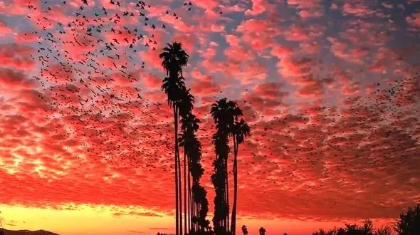 تفسیر فال حافظ امروز 5 اردیبهشت 1405