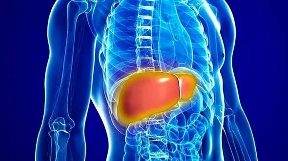 نسخه طبیعی برای درمان کبد چرب 