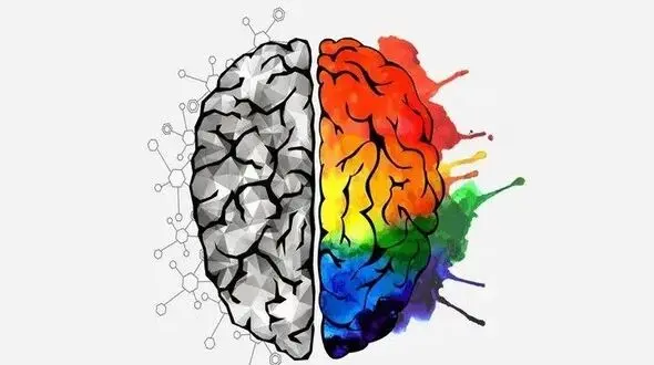 چگونه خلاقیت و هنر عمرتان را طولانی تر می کند؟