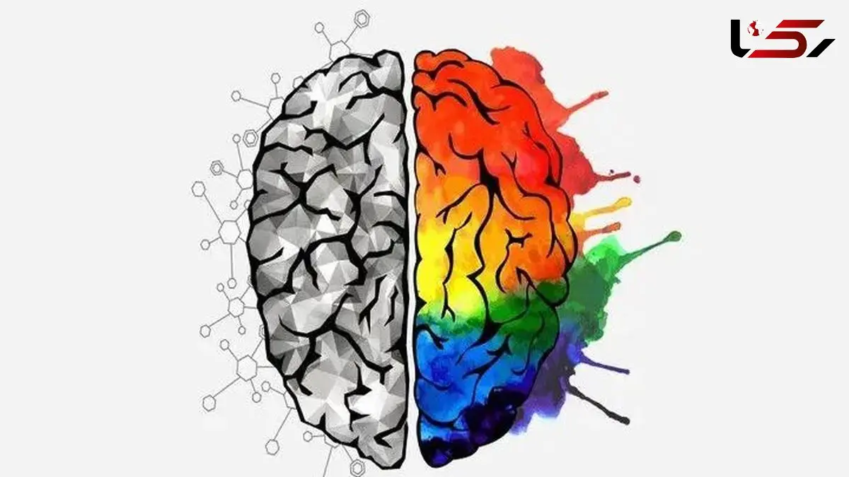 چگونه خلاقیت و هنر عمرتان را طولانی تر می کند؟