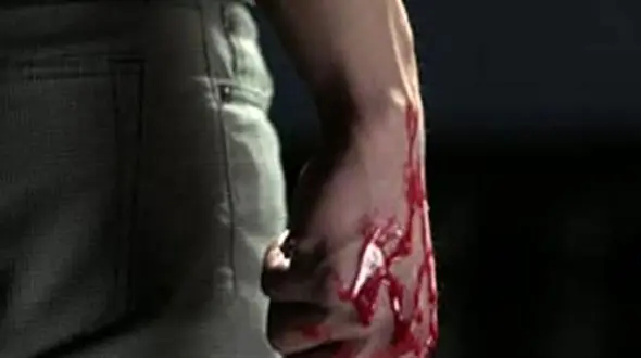 بازداشت 13 عربده کش در پارک شریعتی تهران