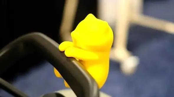 این گربه بامزه، راز آرامش و خنکی نوزادان را فاش کرد!