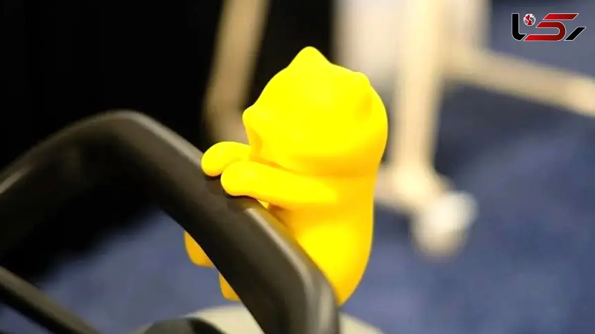 این گربه بامزه، راز آرامش و خنکی نوزادان را فاش کرد!