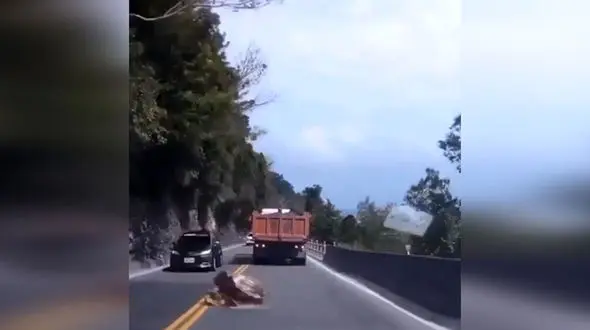 نجات معجزه آسای سرنشینان یک خودرو از سقوط سنگ در جاده + فیلم