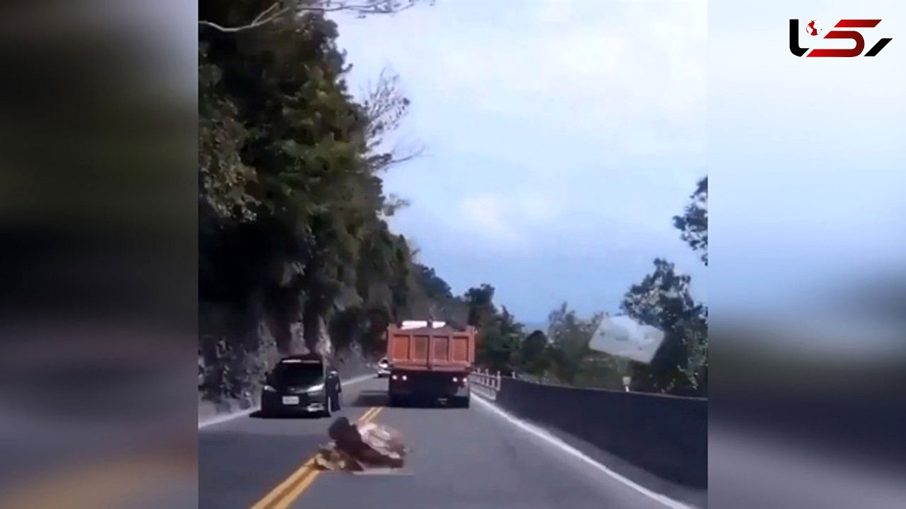 نجات معجزه آسای سرنشینان یک خودرو از سقوط سنگ در جاده + فیلم