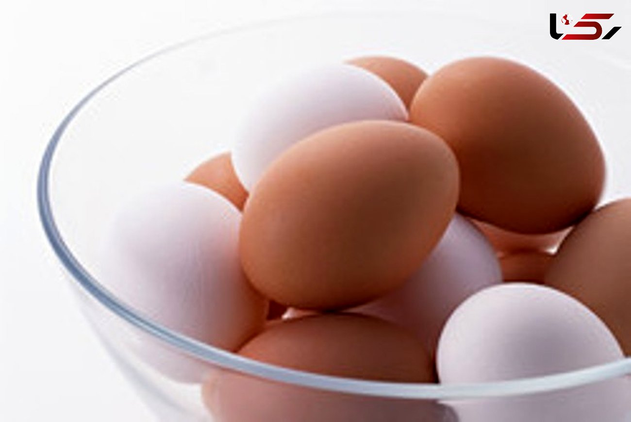 بلای آنفلوانزا بر سر تخم مرغ/ صادرات به یک سوم پارسال کاهش یافت