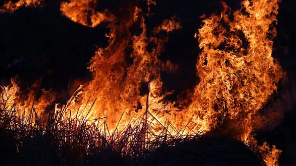 جنگل های ۲ هزار تنکابن آتش گرفت