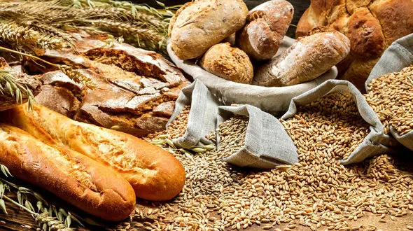 قیمت جدید گندم اعلام شد / دولت هنوز نان را گران نکرده است!