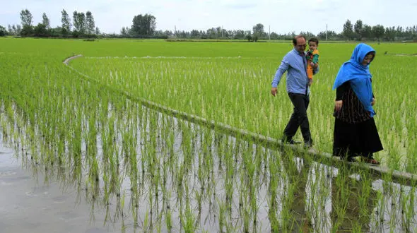 تولید شازده خانم و بردیا به پایان رسید