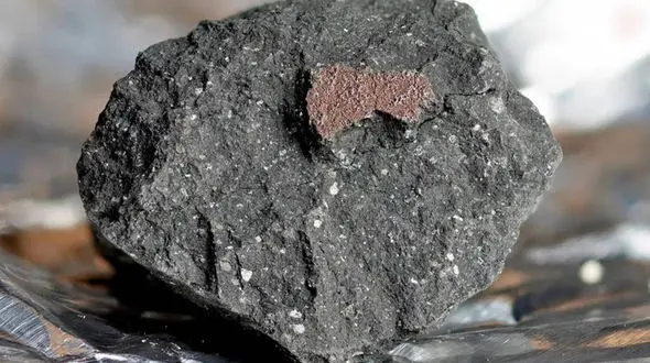 عکس/ گنج ارزشمندی که 80 سال در خانه زیر پا افتاده بود