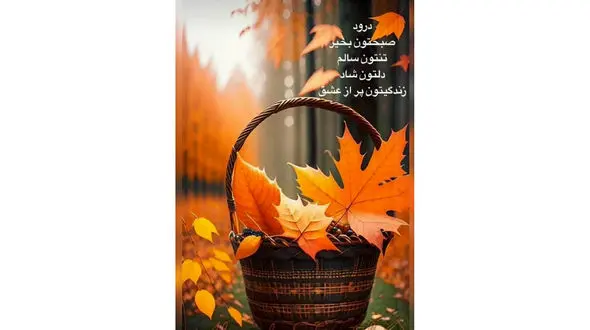 فال حافظ با تفسیر در تاریخ 17 آذر 