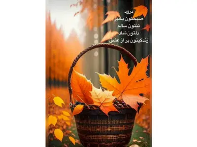 فال حافظ با تفسیر در تاریخ 17 آذر 