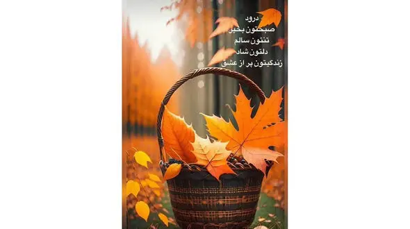 فال حافظ با تفسیر در تاریخ 17 آذر 
