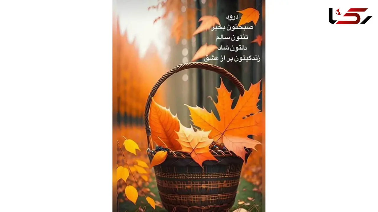 فال حافظ با تفسیر در تاریخ 17 آذر 
