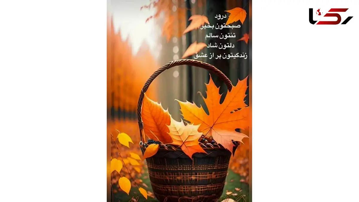 فال حافظ با تفسیر در تاریخ 17 آذر 