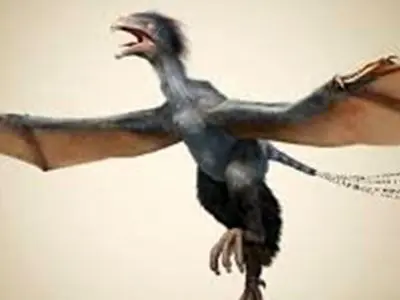 اسرار عجیب وغریب دایناسورها برای عاشق شدن