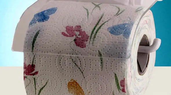 هشدار جدی به خانم ها/ دستمال توالت رنگی و معطر استفاده نکنید