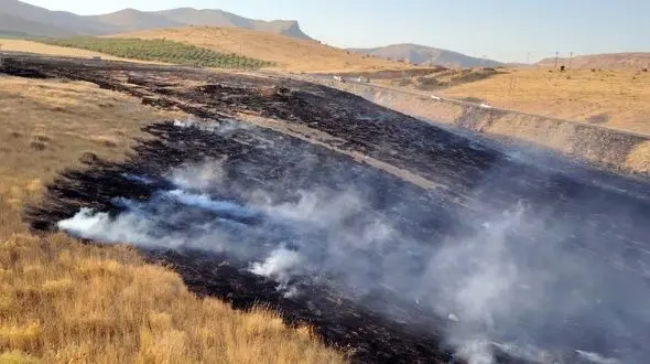 گرمای هوا باعث حریق مزارع گندم سمیرم/ مواظب رهاسازی ته سیگار باشید!+عکس
