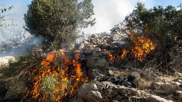 آتش سوزی های عمدی دو برابر شد / سه گروه عامل آتش زدن مراتع و جنگل ها