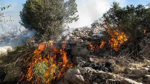 آتش سوزی های عمدی دو برابر شد / سه گروه عامل آتش زدن مراتع و جنگل ها