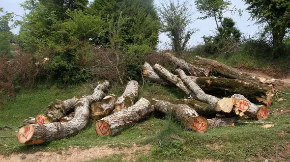 نماینده مجلس: عمق چاه های آب از ۲۰ متر به ۲۷۰ متر رسیده است! / صدور مجوزهای بی‌رویه برای حفر چاه، وضعیت را بحرانی‌تر کرده است