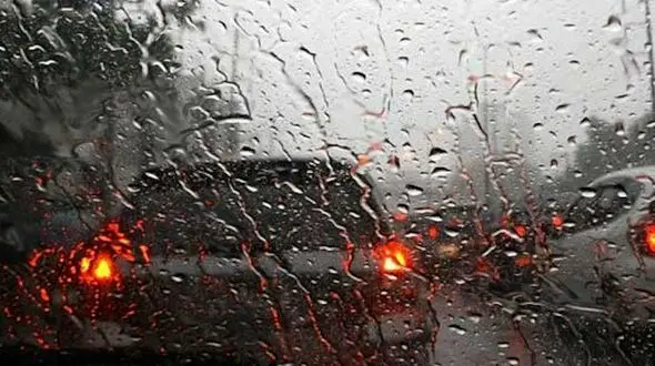 ببینید / باران تابستانی تهران در کاخ سعدآباد + فیلم 