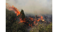آتش سوزی این بار  در جنگل های سروآباد کردستان