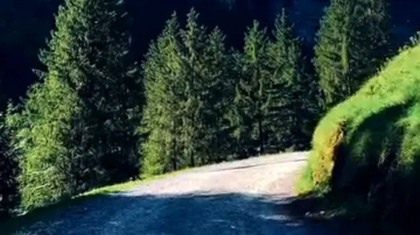 زندگی مانند ابری زود گذر است