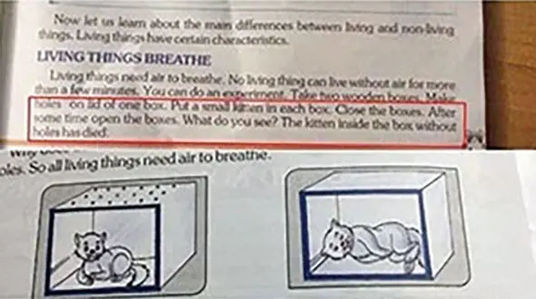 آموزش کشتن گربه‌ها به دانش‌آموزان