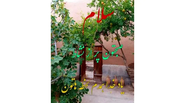 فال روزانه شخصی/ 2 شهریور ماه + فیلم